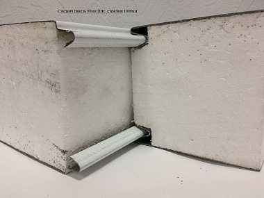 Сэндвич панель с пенополистиролом (ППС) стеновая 1000x80мм